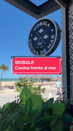 MOBULA: Exquisito restaurante frente al mar en Puerto Progreso