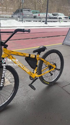 Savage Flyer Wheelie Tricks on SE Bike