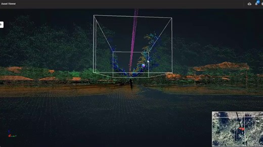 3.7K views · 41 reactions | As FPL Arborist Erin Schreck will tell you, innovative “smart trimming” technology improves how we manage Florida’s lush vegetation. This boosts our efficiency, reliability and speeds up restoration after storms. | Florida Power & Light | Facebook