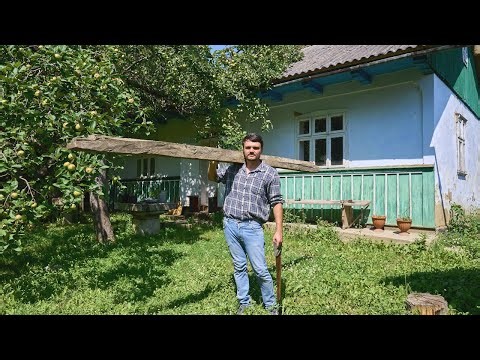 From Abandoned to Alive: Life in the village Restoring an Old Family Yard