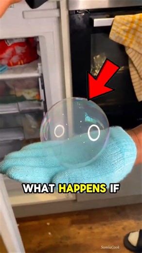 Man Freezes a Bubble Overnight and the Ending Is Incredible