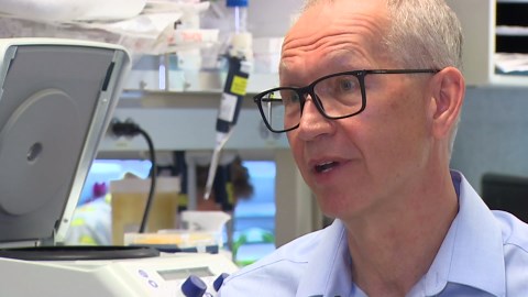 Fred Hutch scientists advance gene therapy with simplified treatment method: HealthLink