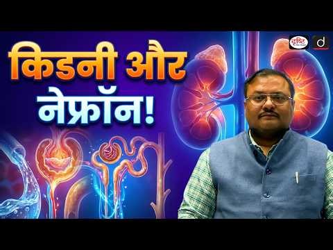 Kidney & Nephron Explained Simply | Kidney Failure Causes | Science & Tech | Drishti IAS