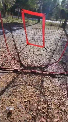 Batting Net for your aspiring MLB player!