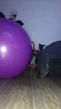overinflating a giant waliki elephant hopper ball and bouncing on it (non pop)