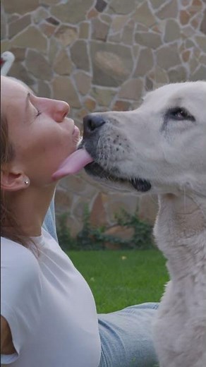 Romantic dog kiss