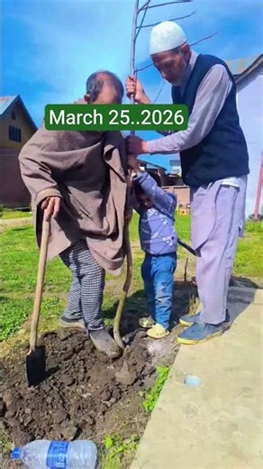 Even if the fruit or tree is stolen, it still counts as a rewardable charity for the owner.#plants