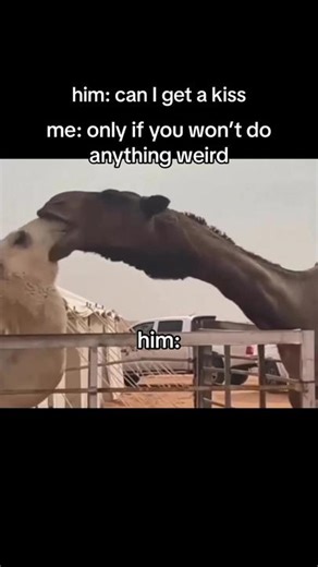 Funny and Relatable Relationship Memes for Boyfriend and Girlfriend