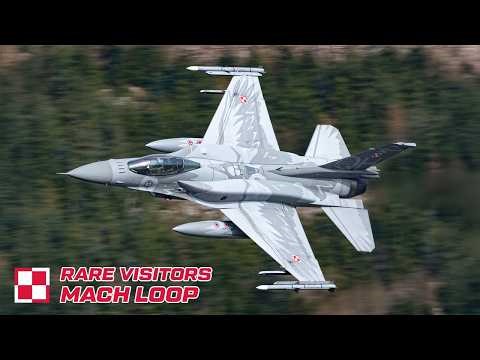 3 Days in the Machloop with rare visitors