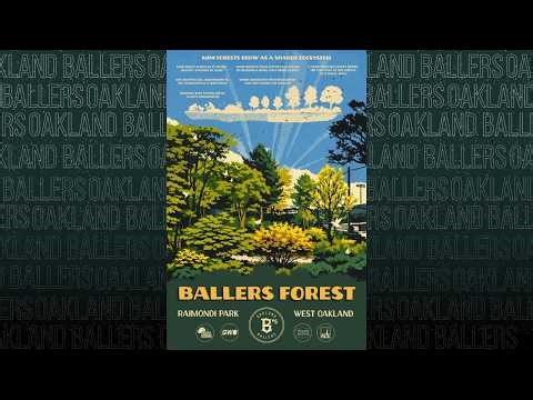 We planted Oakland first Miyawaki Forest