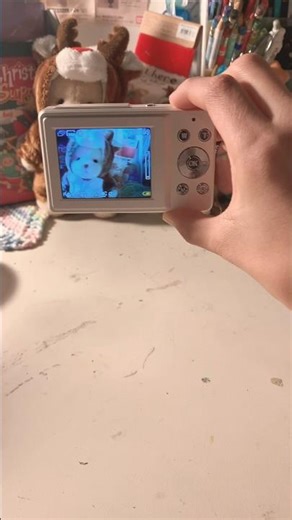 New Vivitar camera I got for Christmas!