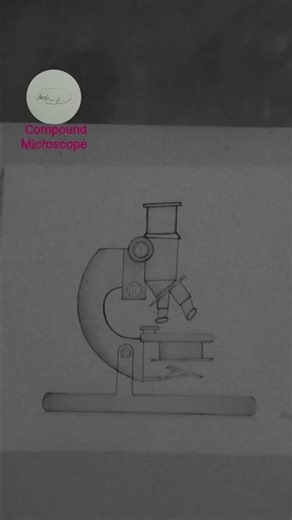 Class 9th Bio. Light Compound Microscope 🔬🤞🔬🤟 Art 🎨 by A......