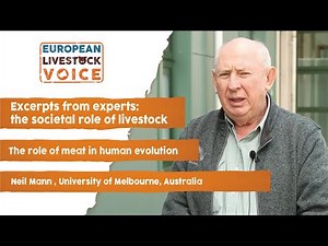 Neil Mann - The role of meat in human evolution