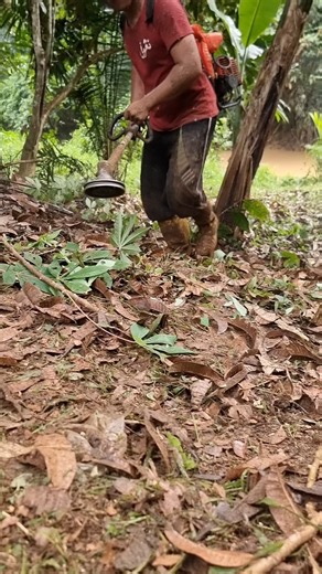 “Nylon Trimmer Line Can Damage Your Grass Cutter?! Shocking Facts!”