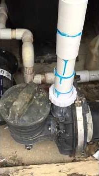 Pool pump making high pitch squealing noise... Why? Please help!