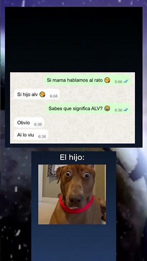 Cuando tu mamá dice “ALV” y tú le preguntas qué significa 😂🐶