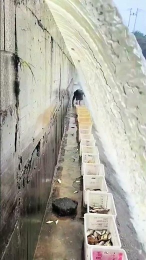 Incredible Waterfall Fishing Trick You’ve Never Seen
