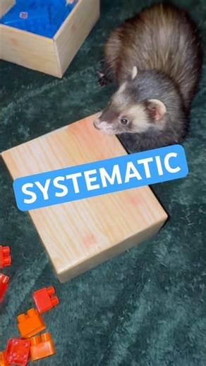 Investment Risk Pyramid