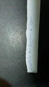 explain the function of lignite... | Filo