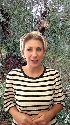 ΚΛΑΔΕΜΑ ΕΛΙΑΣ -ΠΟΙΟΤΗΤΑ-ΤΙΜΕΣ-ΠΡΟΣΘΕΤΑ#olives #κλάδεμα #pruning #potatura #poda #κλάδεμα