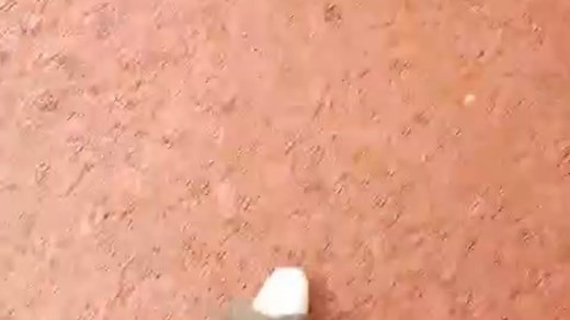 桑桑老师日常户外直播