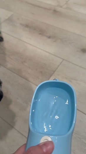 You’d never forget your own water—don’t forget your dog’s. ❤️ Keep them happy and hydrated wherever you go. | Puff and Paws | Facebook