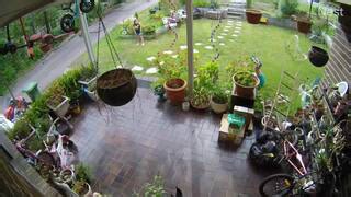 Man falls off ladder onto lawn