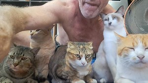 354K views · 18K reactions | Yes indeed, another episode of Chaz's Cat Circus! #funnycats #cats #catsofinstagram #cat #of #catstagram #catlife #catlovers #instagram #catlover #cutecats #funnycat #funny #meow #kittens #instacat #kitty #catmemes #catoftheday #kitten #cute #pets #world #cutecat #memes #funnyvideos #animals #funnymemes #lovecats #funnycatvideos | The CAT Diaries | Facebook