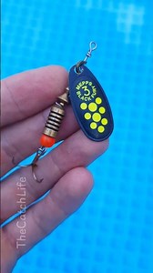 MEPPS SPINNER UNDERWATER MAGIC! 🌊✨🎣 #fishing #fishingtips #fishinglife