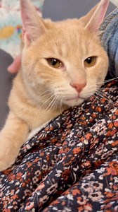 24K views · 2.9K reactions | Day 22 of sharing Flip Flop (and his...