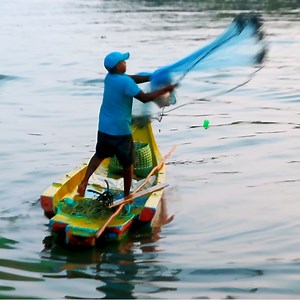 20K views · 39 reactions | Best Net Cast Fishing In Mullet Fish | Kadal mariyan- fishing | Facebook