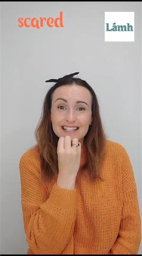 SPIDERs, BLACK CATs, BAG of SWEETs, SCAREDy stories for HALLOWEEN 😱 Find these Lamhsigns and more here on Lámhs' Facebook page, on Lámh's X account 👉 https://bit.ly/LámhXAccount on Instagram 👉 https://bit.ly/LámhInstagram and on our Lámh YouTube channel 👉 https://bit.ly/LámhSignYouTubeChannel (Lámh keywords in caps) | Lámh Sign