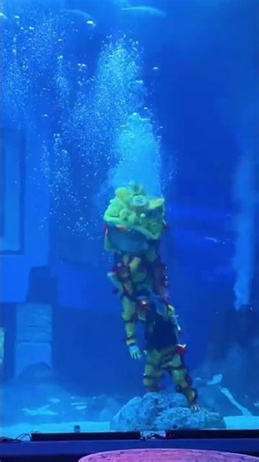 Exploring the Water Lion of Zheng Jia Polar Ocean World