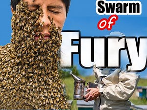 When Bees Attack: Shocking Moments Caught on Camera!