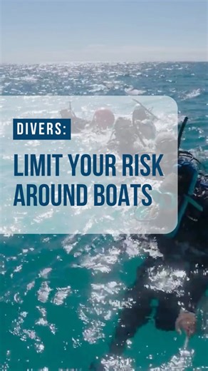 When sharing the water with boats, divers should take steps to limit their risk of being struck or run over. Use a dive flag to indicate your position and surface within 15 meters* of it. Before you surface, scan for boat traffic, and consider deploying a surface marker buoy. Boat operators should stay 90 meters* away from any dive flag or alpha flag if possible. When operating a vessel, remain vigilant and sober, and watch out for people in the water. *Be sure to check and comply with local reg