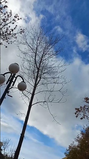 Flying Sprunki Robot