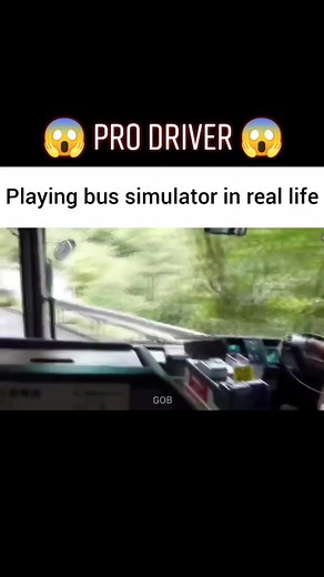 Real-Life Bus Simulator Video with Pro Driver