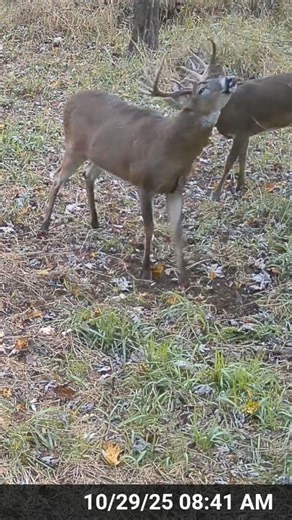 Counting down the days until next season 🦌