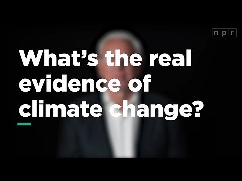 What's Real Evidence of Climate Change? | Let's Talk | NPR
