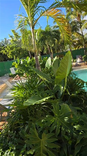 ✈️ EXPERIENCIA INMERSIVA CARIBE 2026 CANCÚN – PLAYA DEL CARMEN – TULUM – ISLA MUJERES ✨ 5 DÍAS / 4 NOCHES 📅 10 AL 14 DE ABRIL 🛫 Vuelo redondo saliendo de Querétaro Viajar al Caribe no es solo cambiar de destino… es cambiar de energía. 🌊☀️ Diseñamos esta ruta para que cada noche se viva diferente. 🗓 DISTRIBUCIÓN DE NOCHES 🌴 Noche 1 – Cancún Llegada, instalación en hotel Tour nocturno de fotos en las letras 📸 Pizzas y refrescos incluidos (Opcional: Coco Bongo 🎉) 🏖 Noche 2 – Playa del Carme