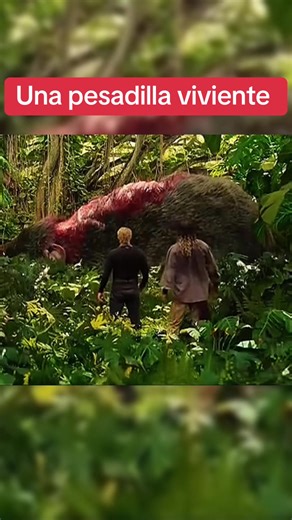 Aquaman discovers a giant rat devoured by monstrous insects in the jungle 😱 #movie #usa🇺🇸 #movieclips #moviestowatch #foryoupage