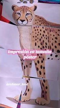 ¿Cómo imprimir en póster con hojas tamaño carta? 🖨️
