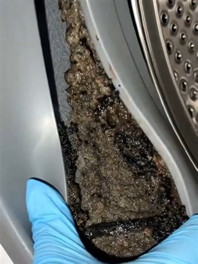 Effortless Washer Cleaning Tips You Need