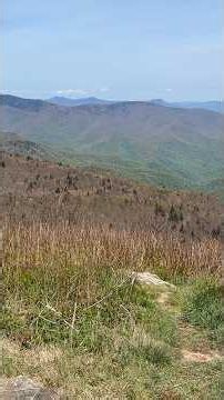 Hiking with a campground neighbor today over at Black balsam knob off the Blue Ridge Parkway ￼￼#hike