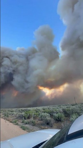 Wild Goose Fire reaches nearly 9,000 acres as crews battle flames