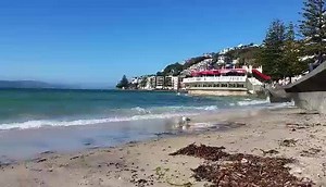 7.9K views · 362 reactions | Oriental Bay on a sunny - but windy day!  | Wellington - LIVE | Facebook