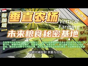 高科技【垂直农场】Vetical Farming 未来粮食秘密基地：新加坡如何颠覆城市农业，实现节水节能与天天现摘新鲜蔬菜？