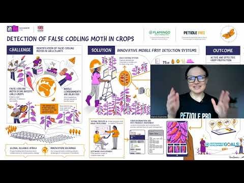 False Codling Moth in Chillies: Mobile Multi-View AI for Early Detection, Maps & Quarantine Risk