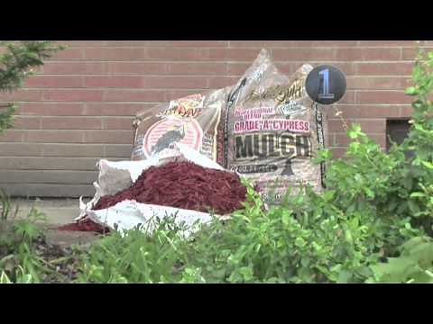 How To Mulch - Using Mulch On Plants & Garden Beds | Garden Ideas & Tips | Homebase