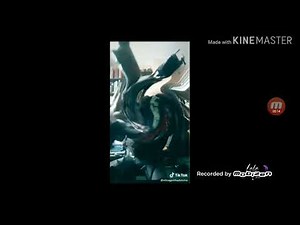 SkItTlEs (1 hour loop)